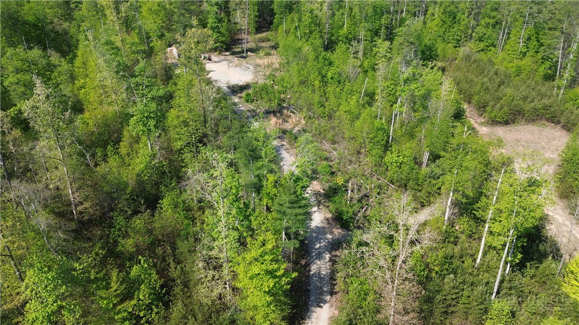Image number 19 for the current listing
