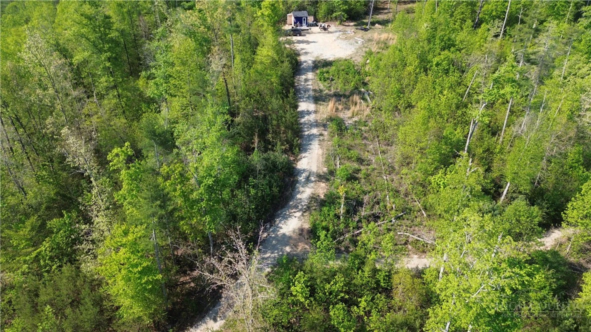 Image number 20 for the current listing