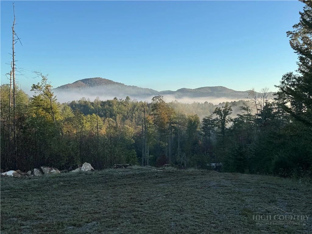 Image number 1 for the current listing