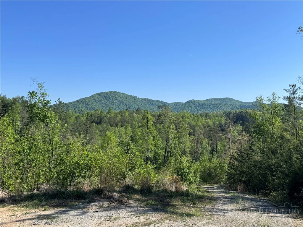 Image number 2 for the current listing