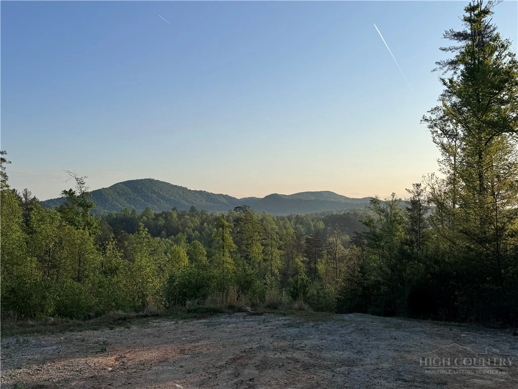 Image number 3 for the current listing