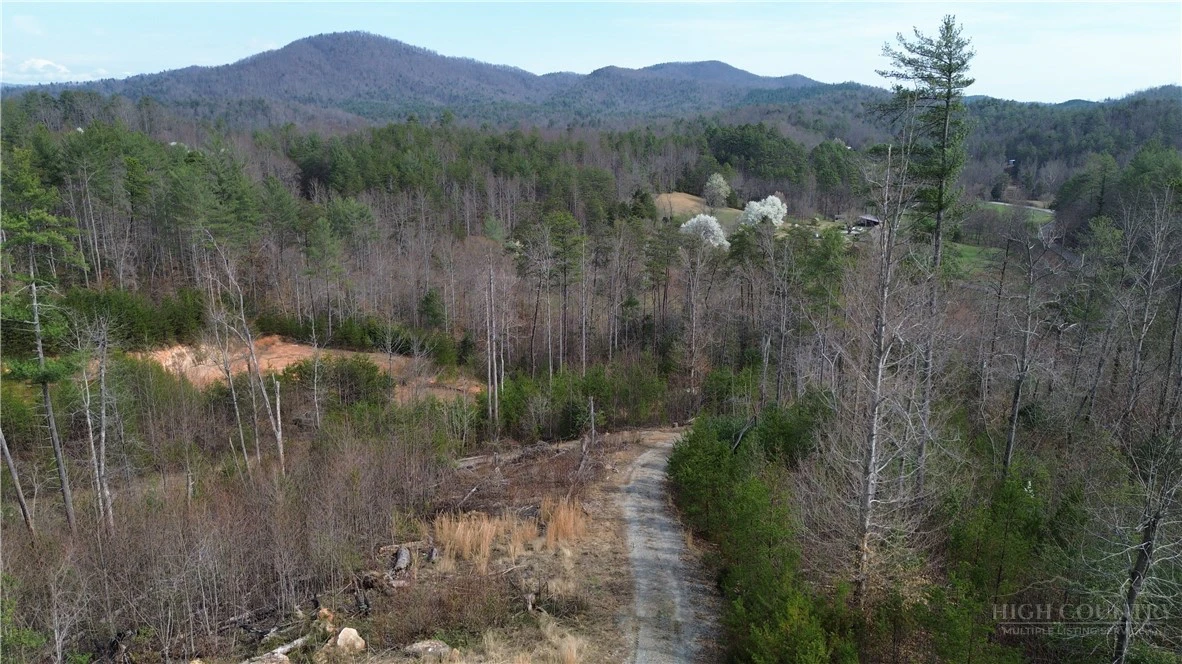 Image number 6 for the current listing