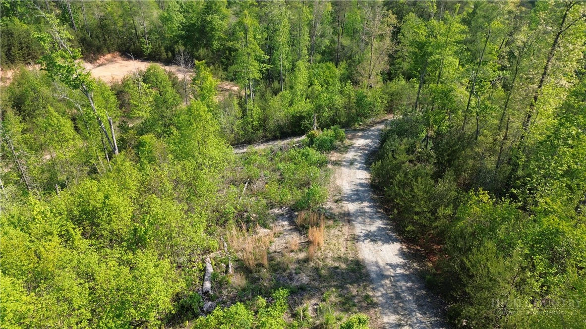 Image number 14 for the current listing
