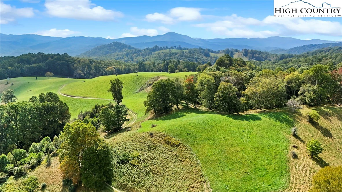 Image number 8 for the current listing