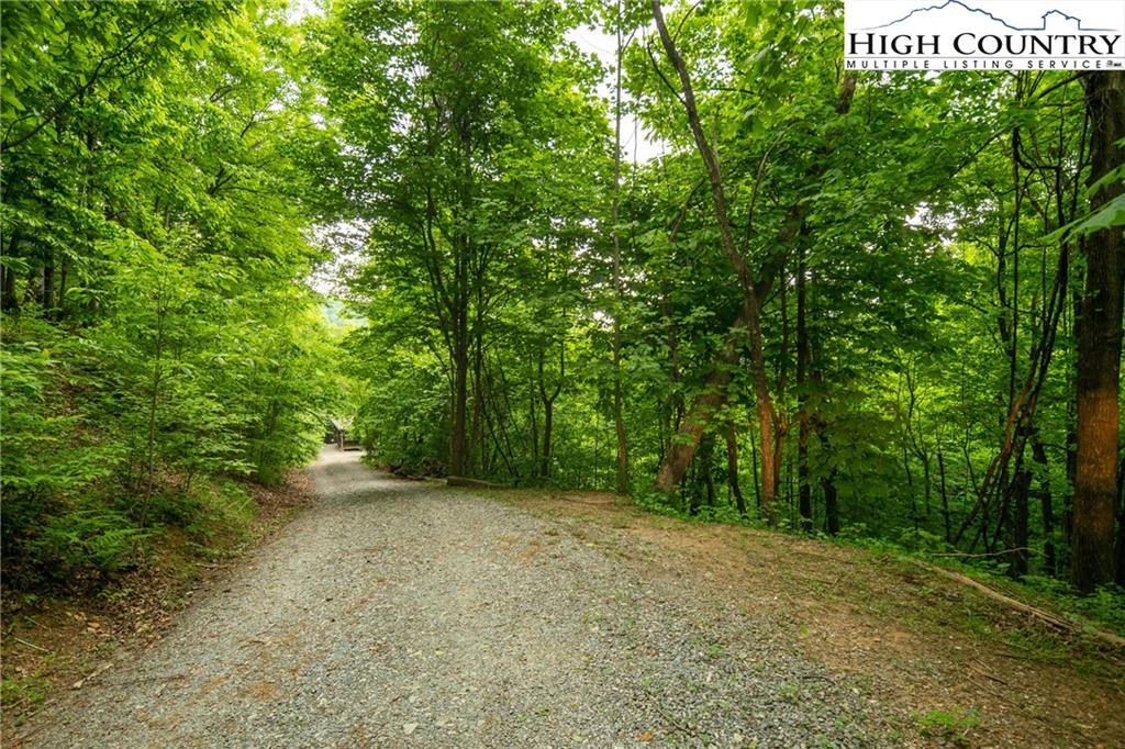 Image number 13 for the current listing