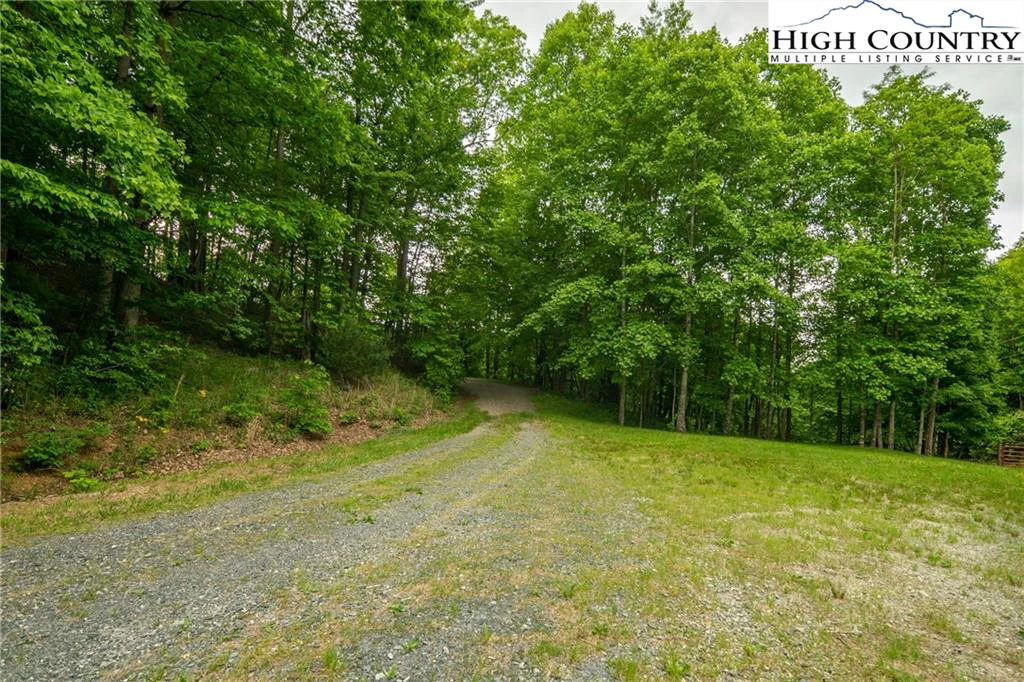 Image number 2 for the current listing