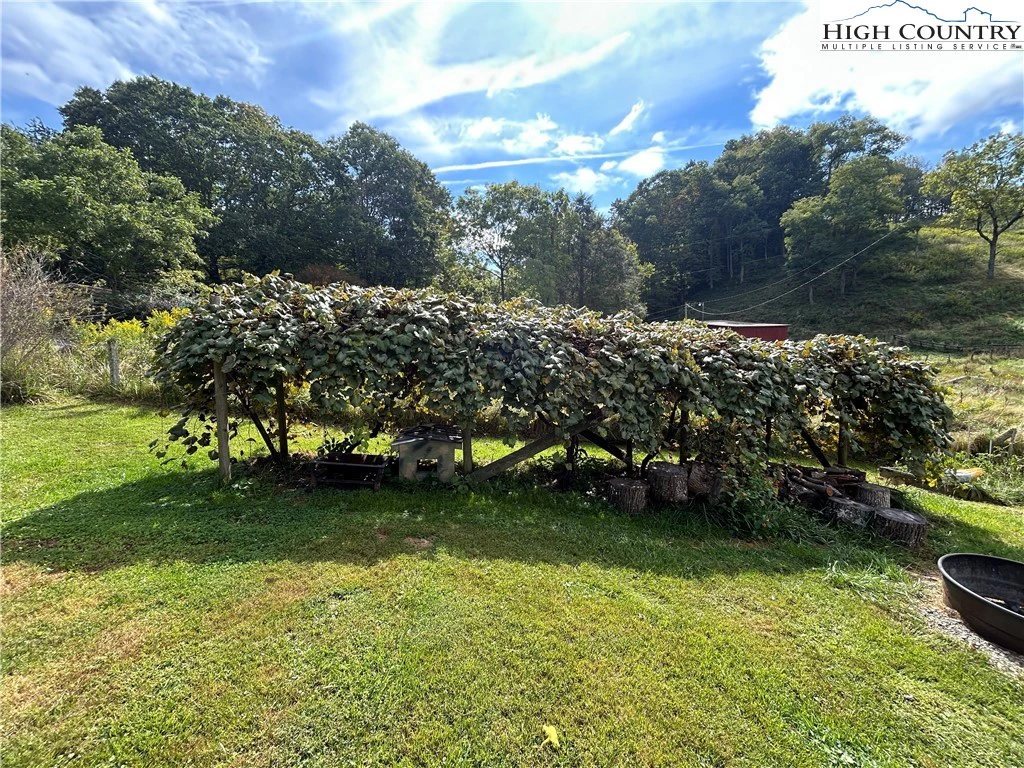 Image number 8 for the current listing