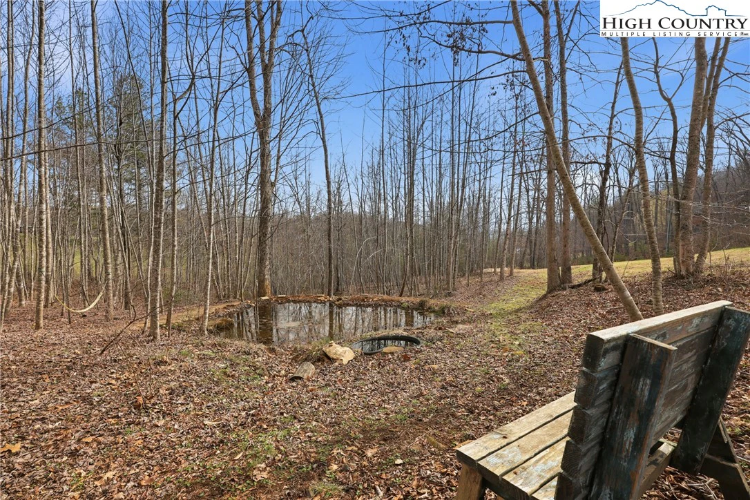 Image number 2 for the current listing