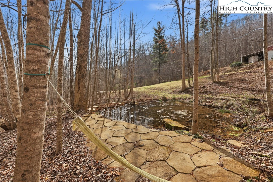 Image number 12 for the current listing