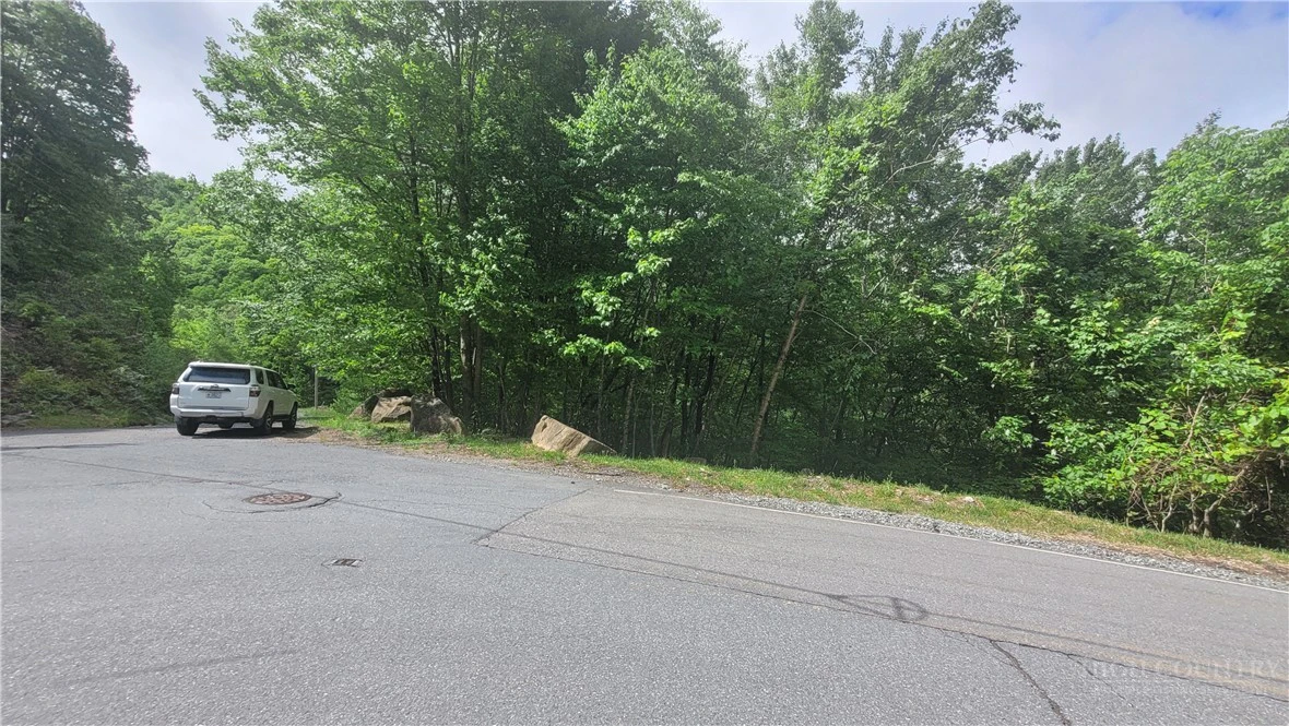 Image number 1 for the current listing
