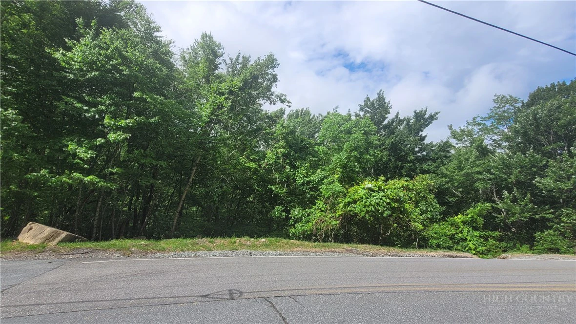 Image number 4 for the current listing