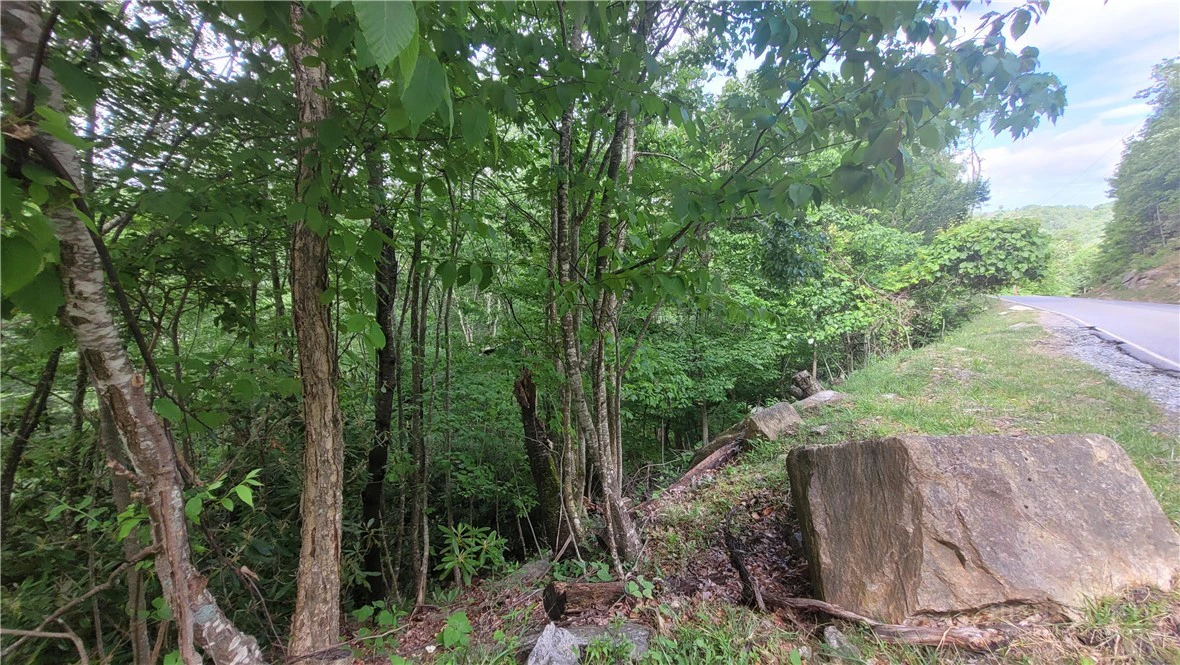 Image number 6 for the current listing