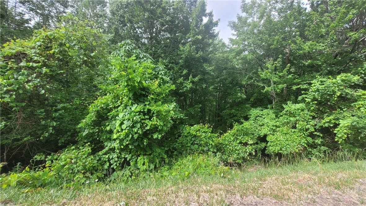 Image number 8 for the current listing