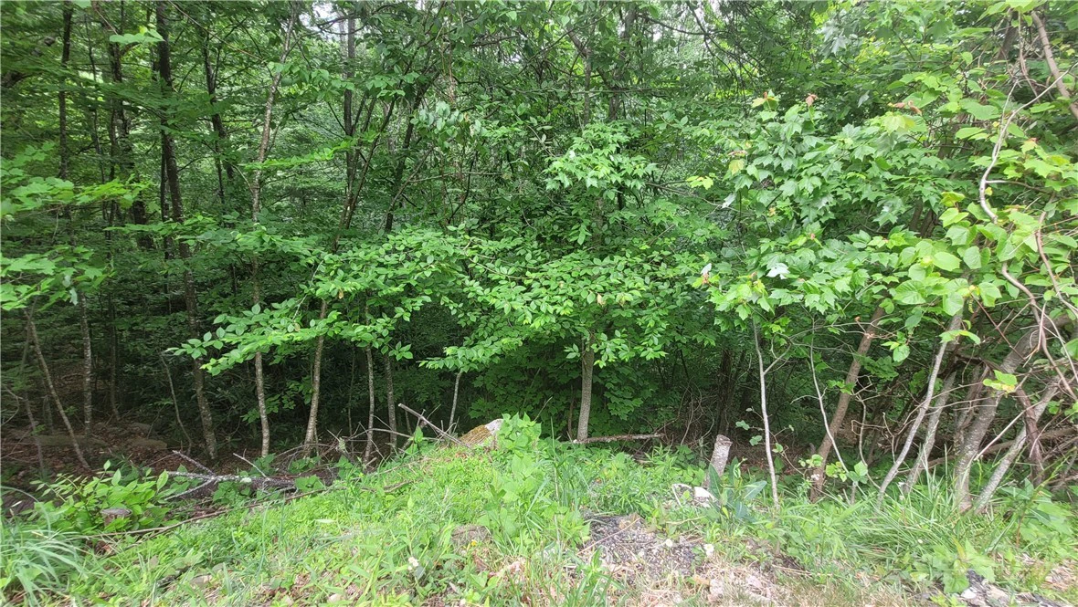 Image number 10 for the current listing