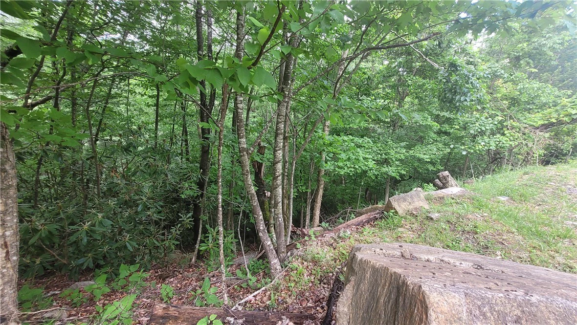 Image number 11 for the current listing