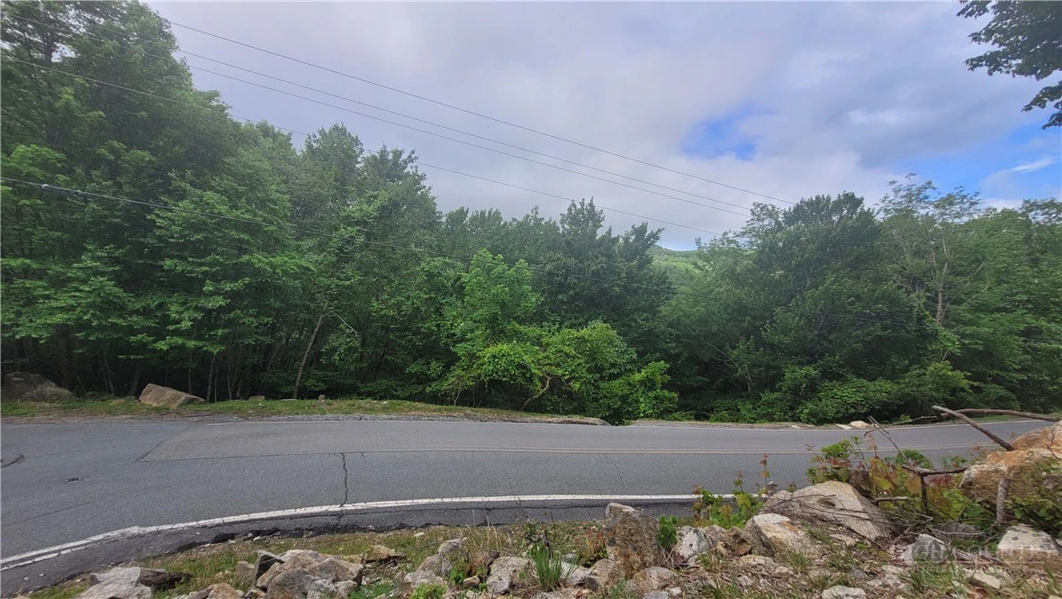 Image number 12 for the current listing