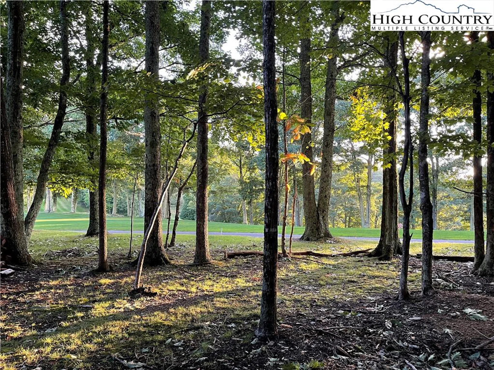 Image number 1 for the current listing