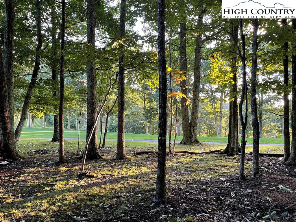 Image number 1 for the current listing