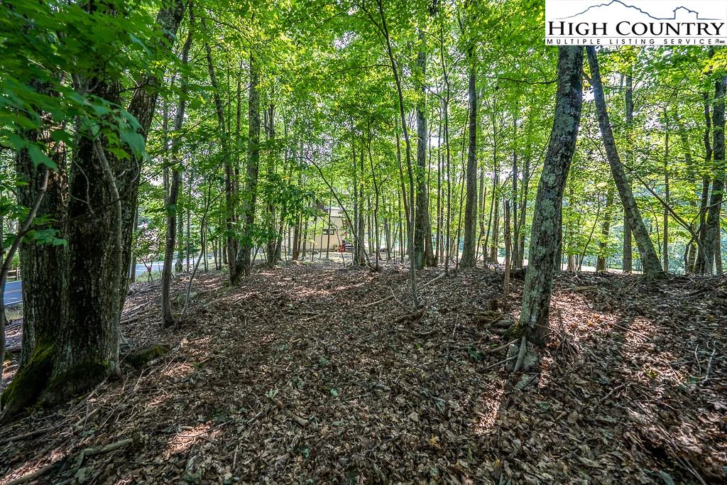 Image number 11 for the current listing