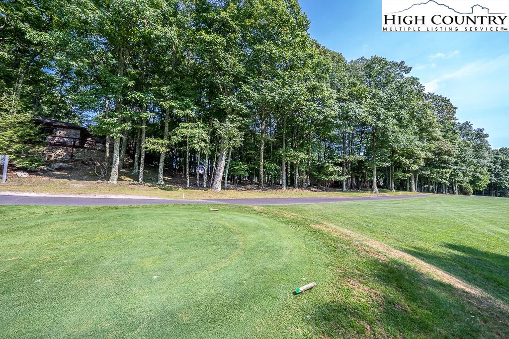 Image number 9 for the current listing