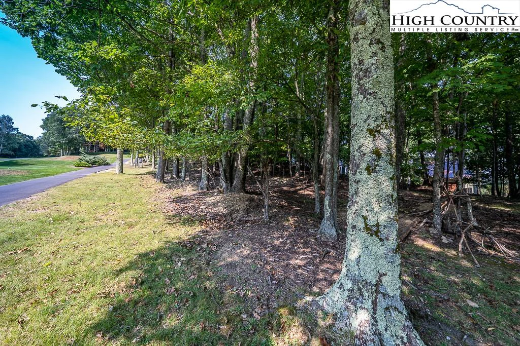 Image number 6 for the current listing