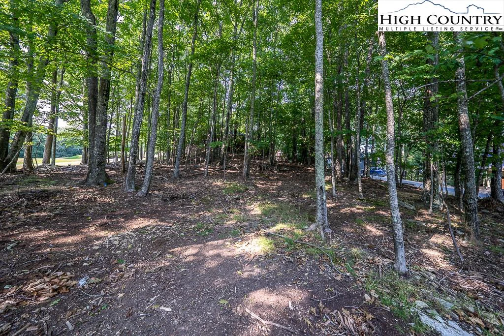 Image number 5 for the current listing