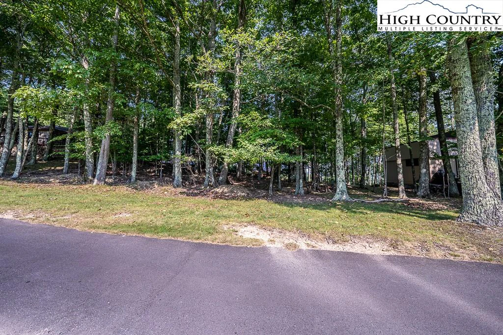 Image number 4 for the current listing