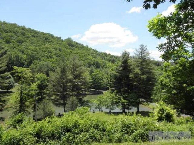 Image number 11 for the current listing