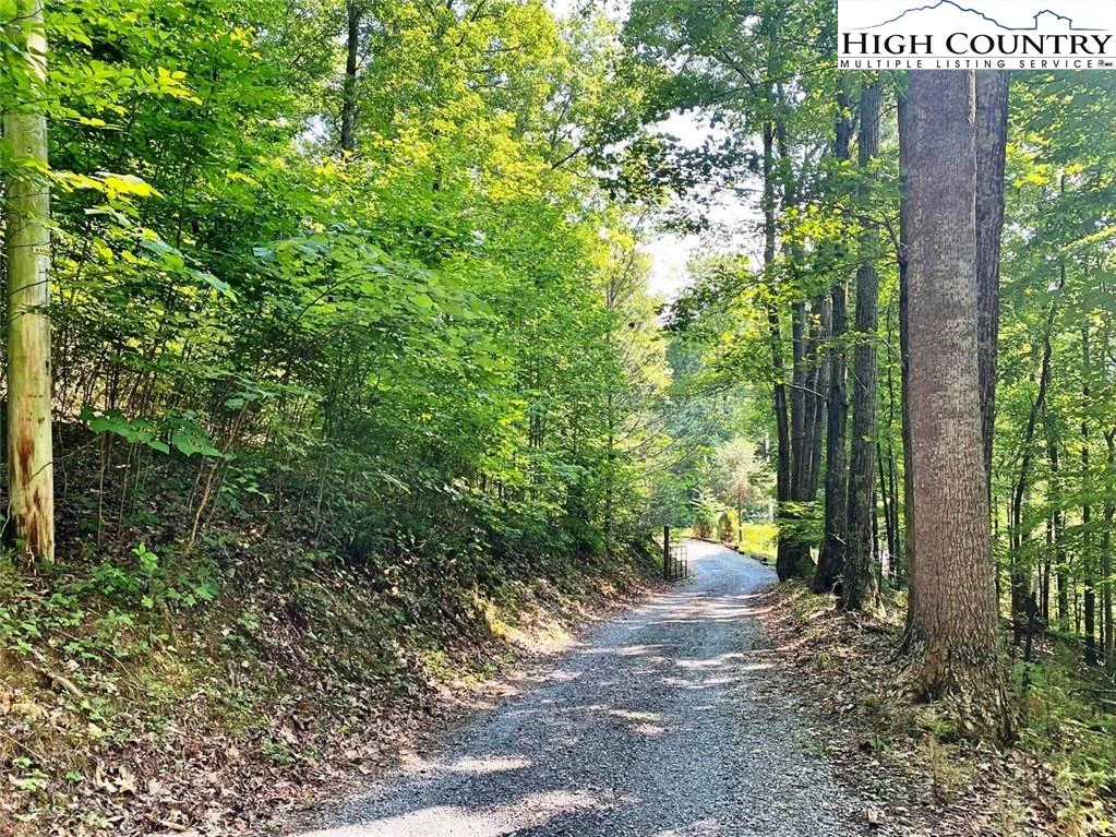 Image number 5 for the current listing
