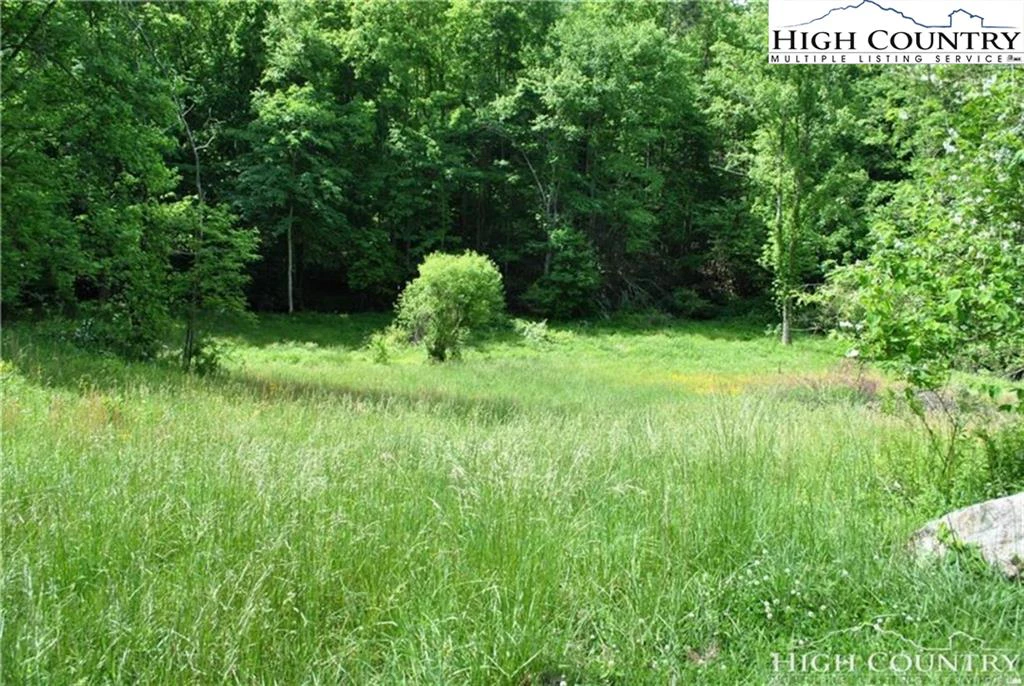 Image number 14 for the current listing