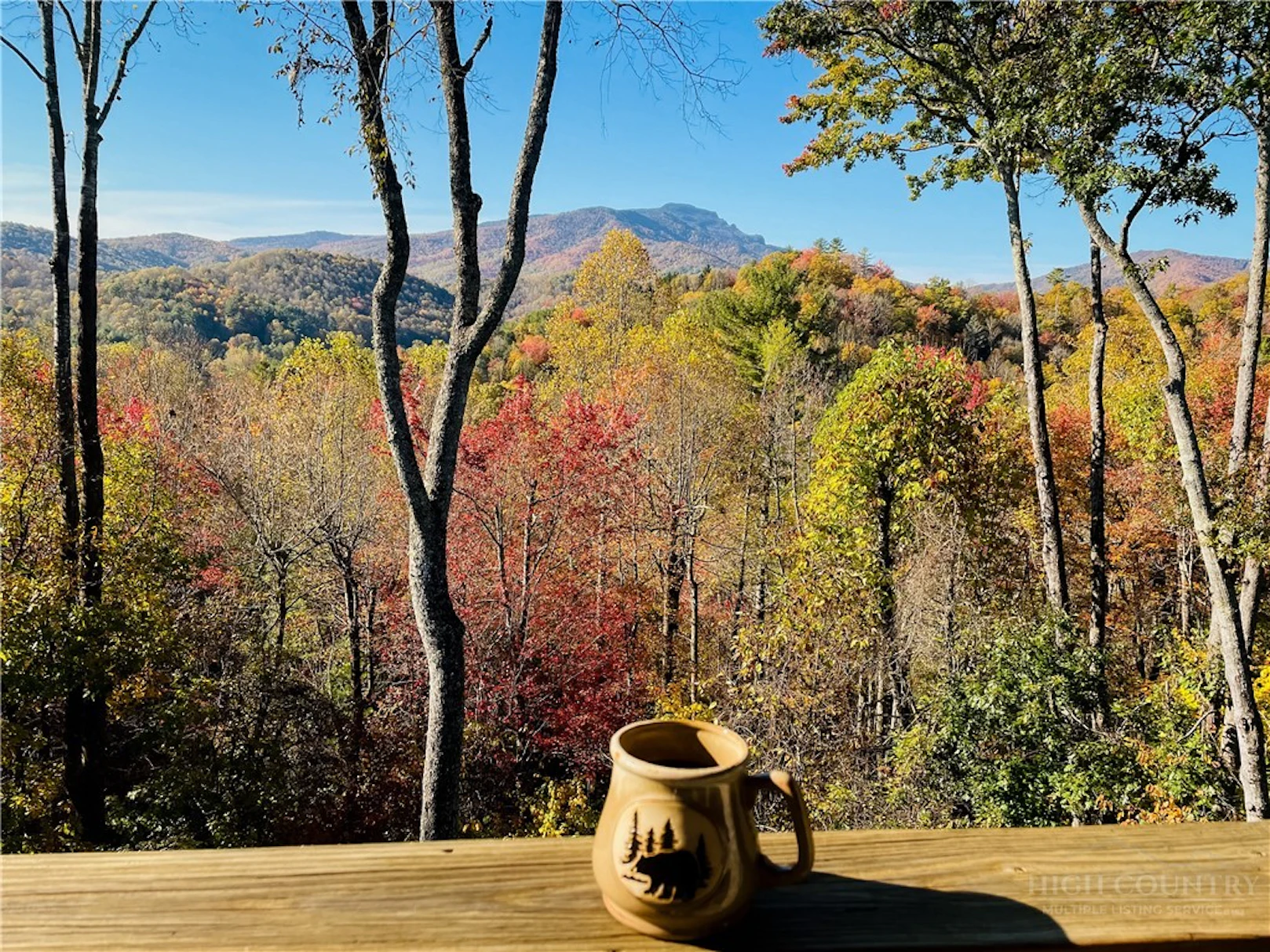 Image number 1 for the current listing