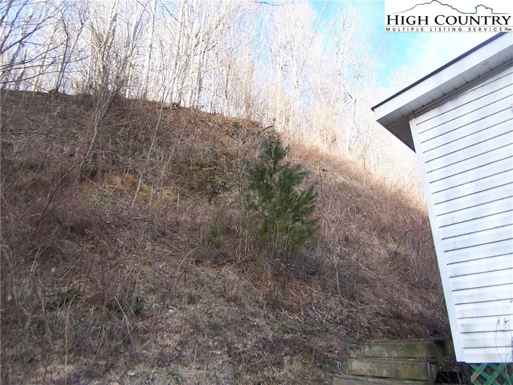 Image number 5 for the current listing