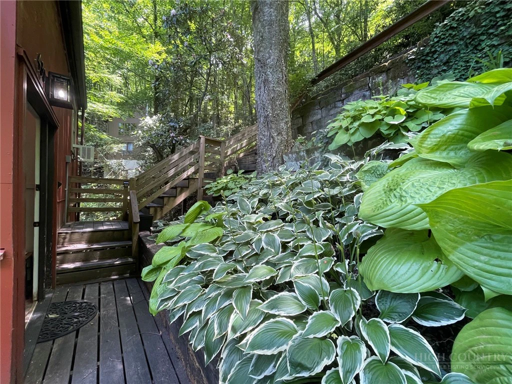 Image number 7 for the current listing