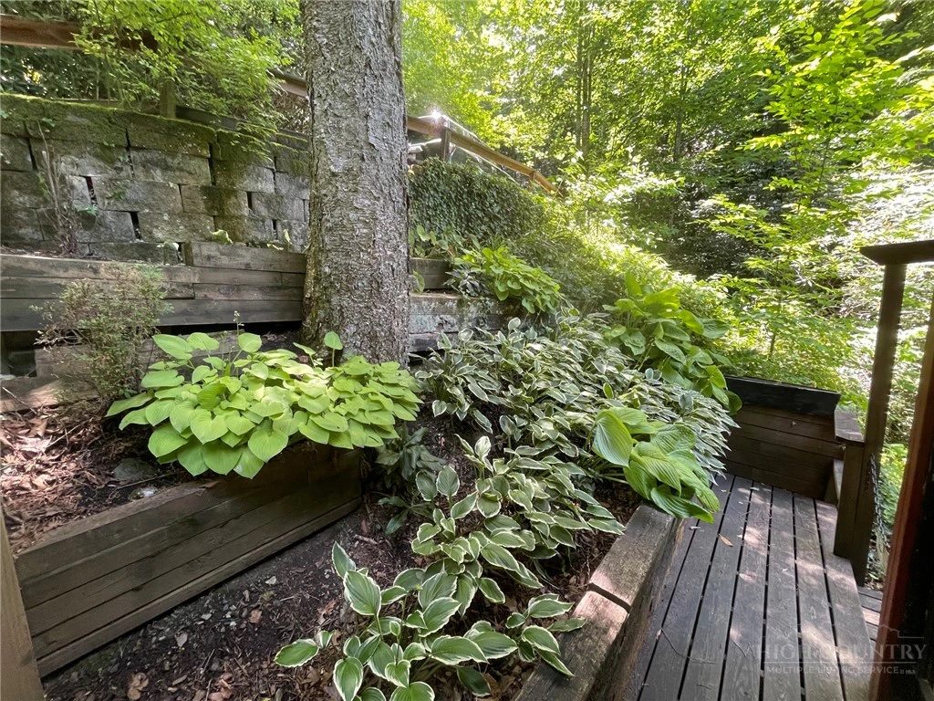 Image number 8 for the current listing