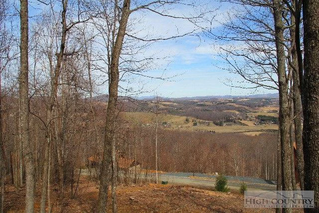 Image number 3 for the current listing
