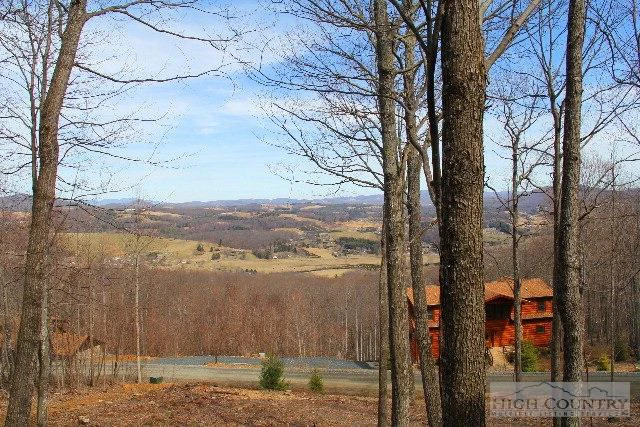 Image number 4 for the current listing