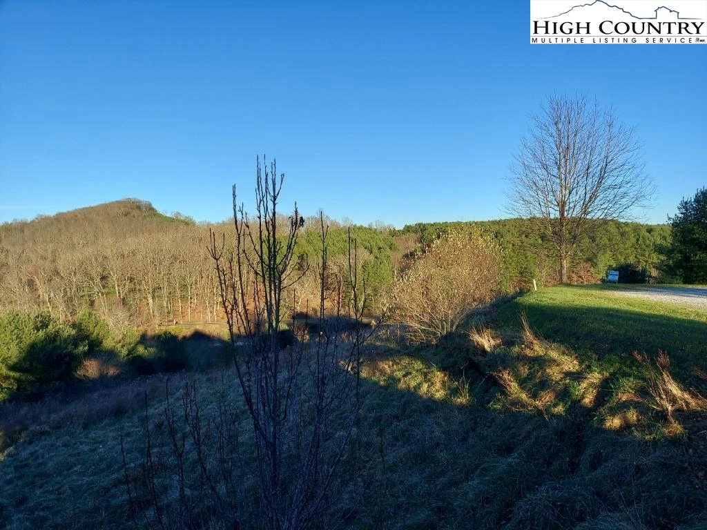 Image number 14 for the current listing