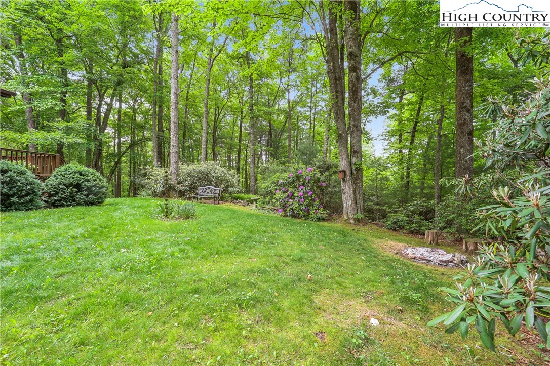 Image number 17 for the current listing