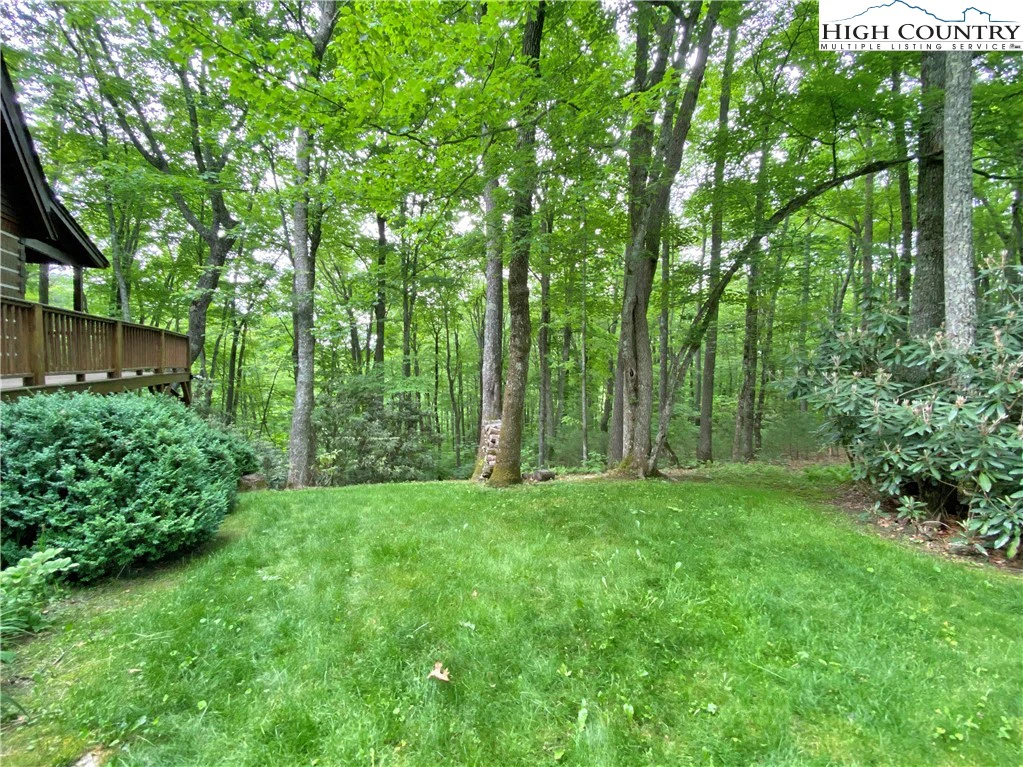 Image number 2 for the current listing