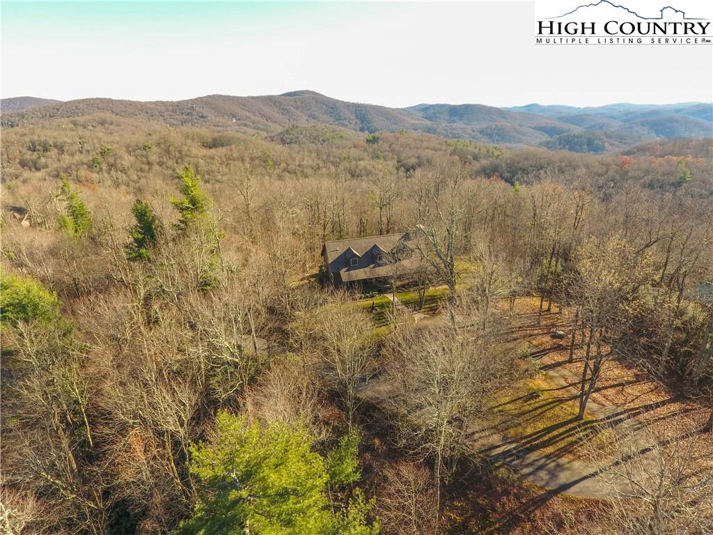 Image number 1 for the current listing