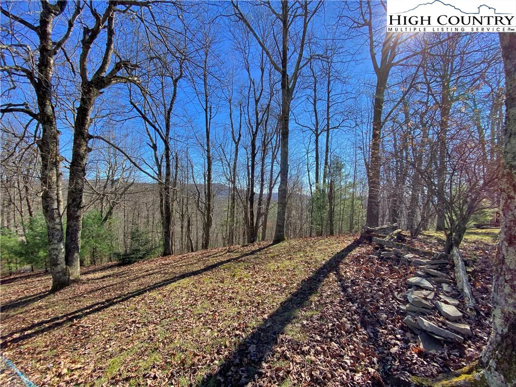 Image number 17 for the current listing