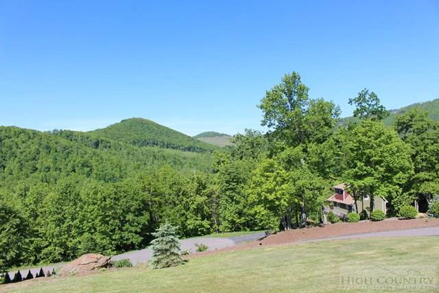 Image number 11 for the current listing
