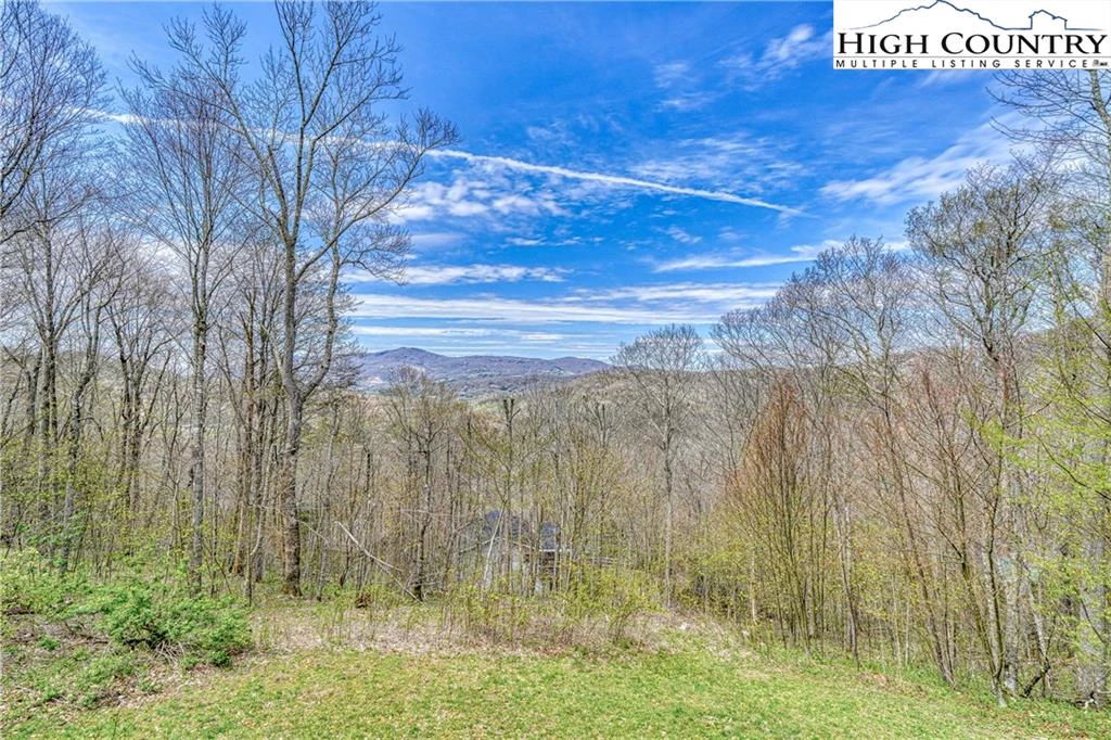 Image number 19 for the current listing