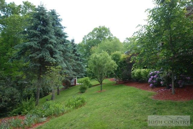 Image number 5 for the current listing