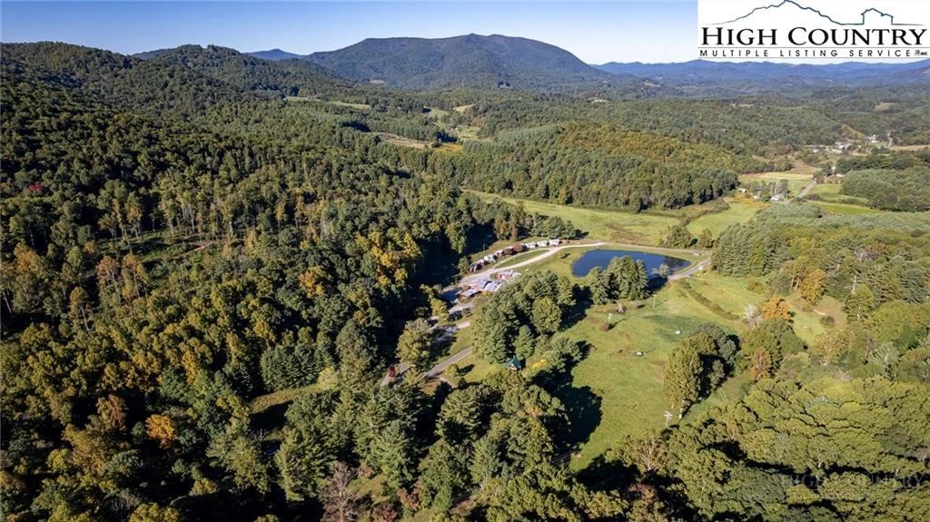 Image number 1 for the current listing
