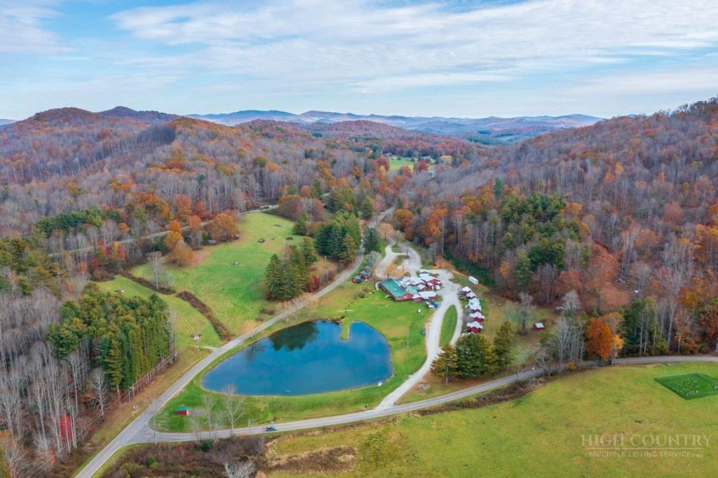 Image number 2 for the current listing