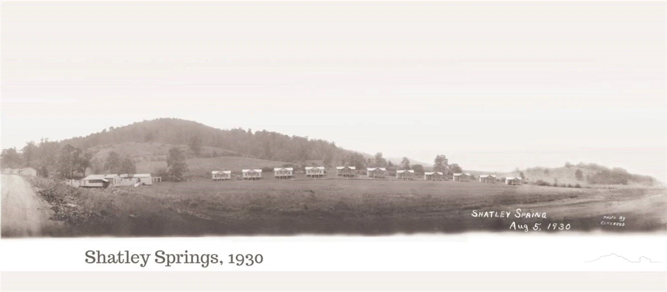 Image number 5 for the current listing