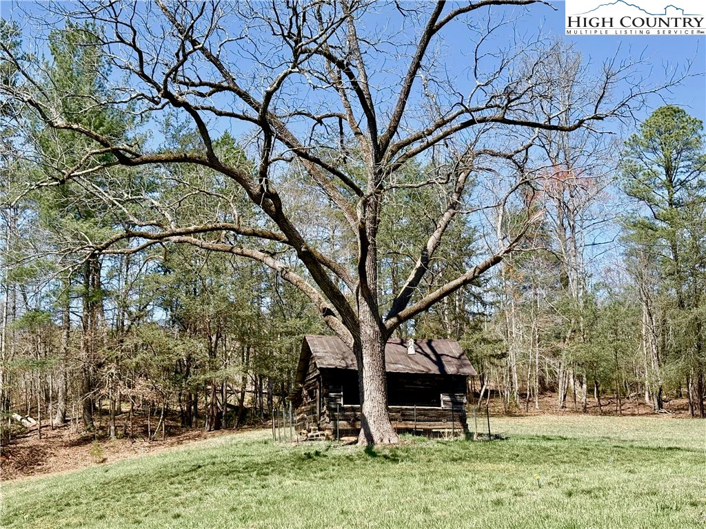Image number 6 for the current listing