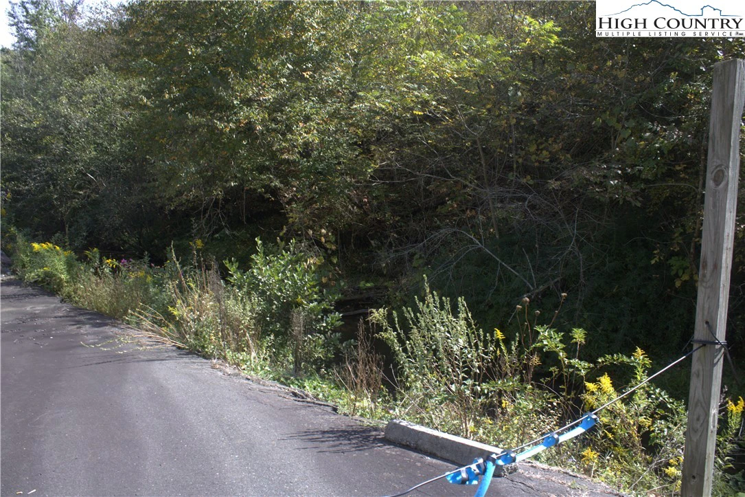 Image number 3 for the current listing