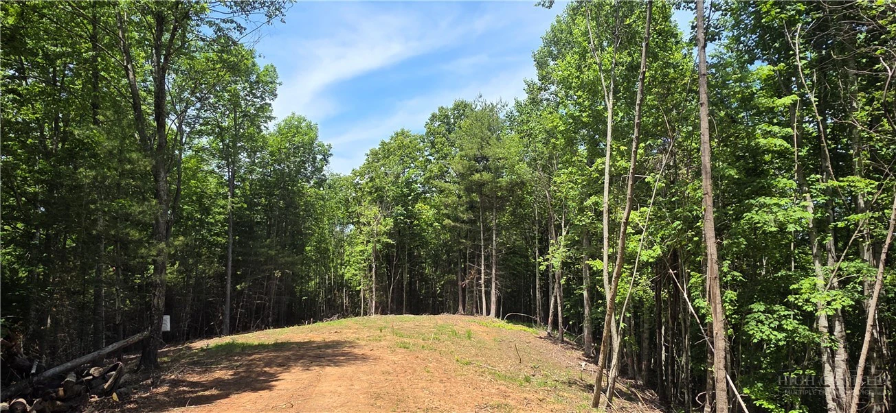 Image number 1 for the current listing